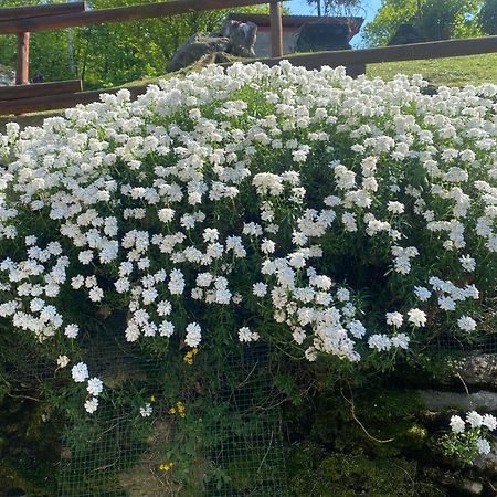 Casa Vacanza La Terrazza Valbrona Zewnętrze zdjęcie