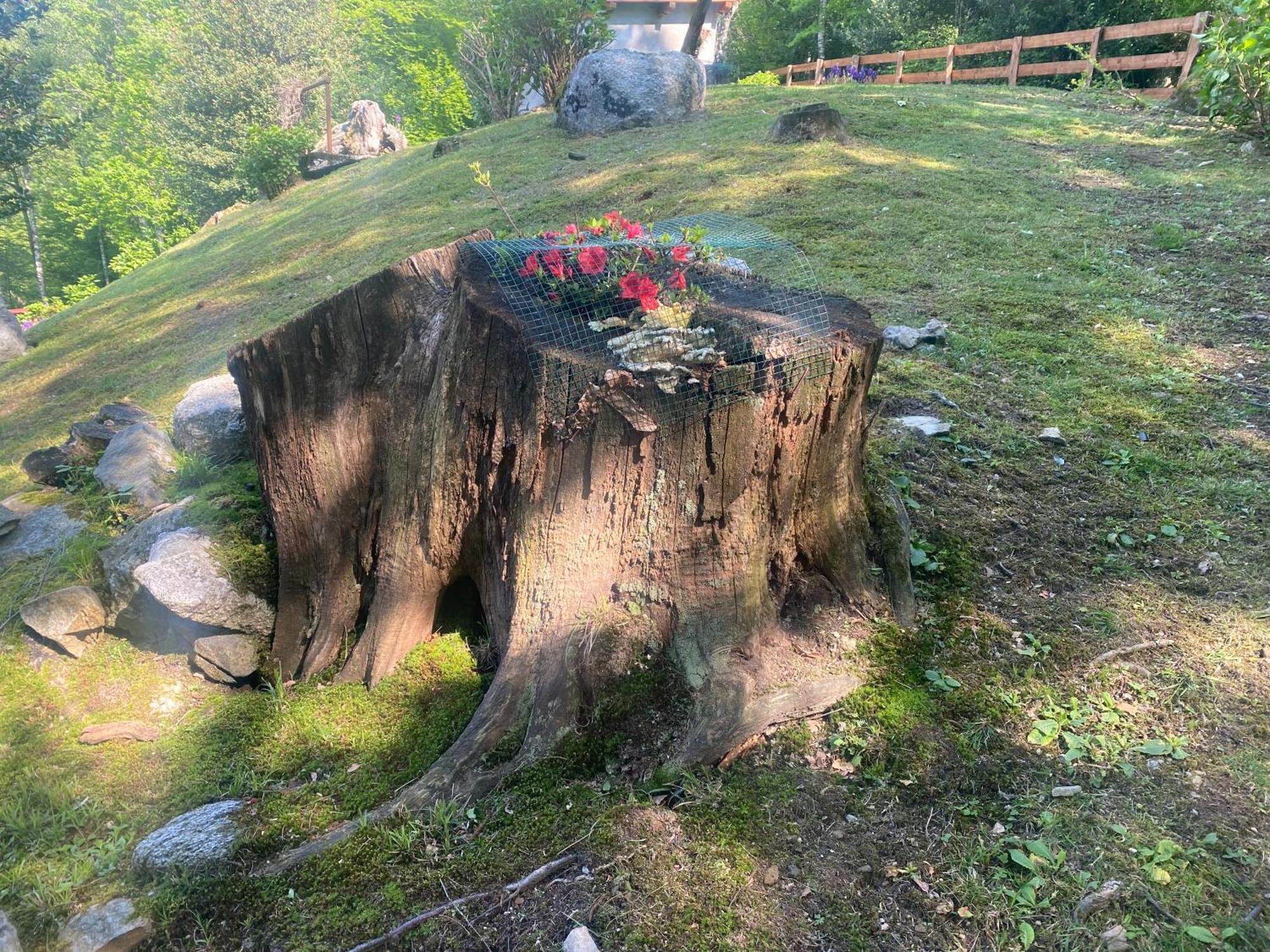 Casa Vacanza La Terrazza Valbrona Zewnętrze zdjęcie