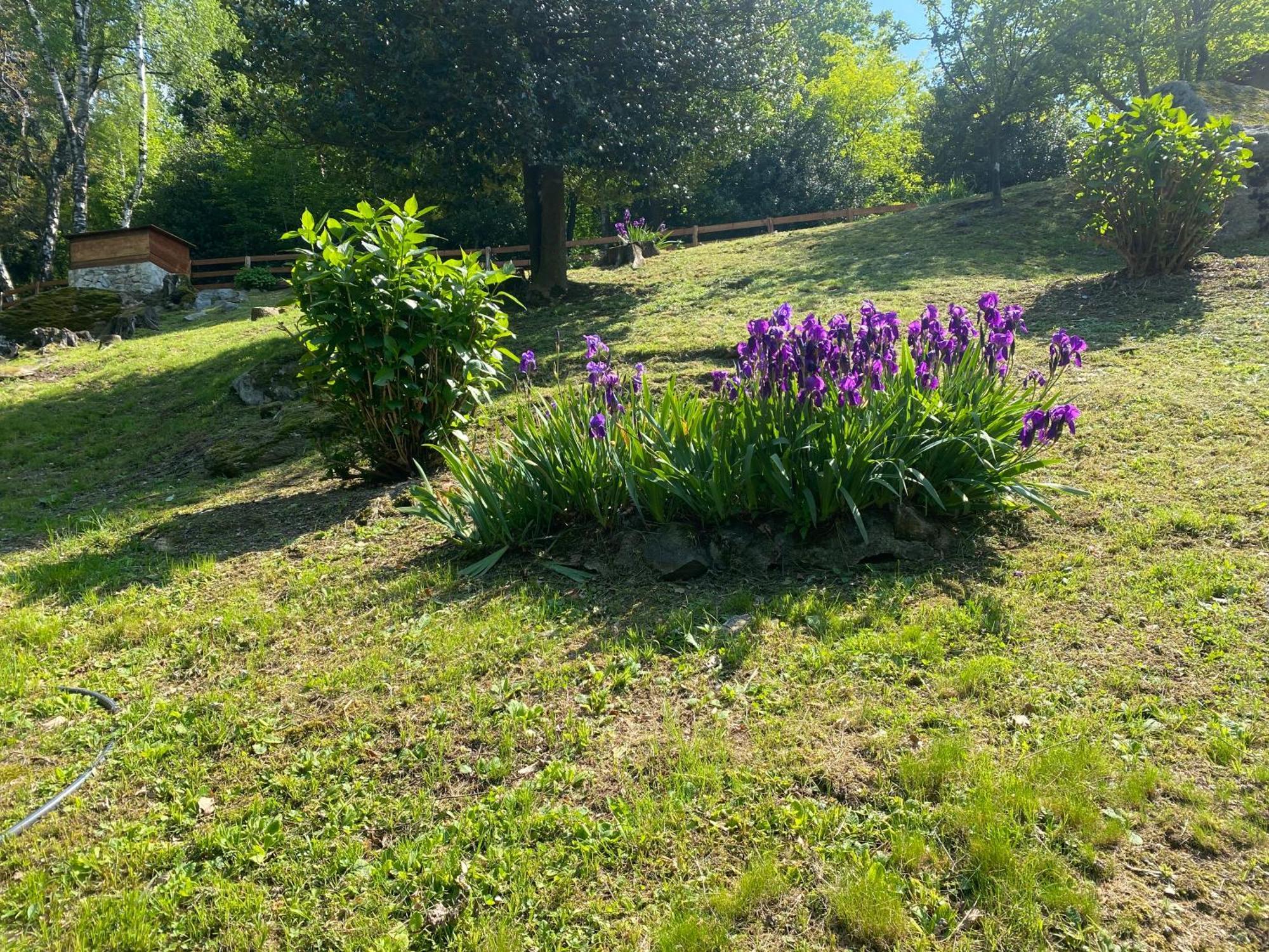 Casa Vacanza La Terrazza Valbrona Zewnętrze zdjęcie